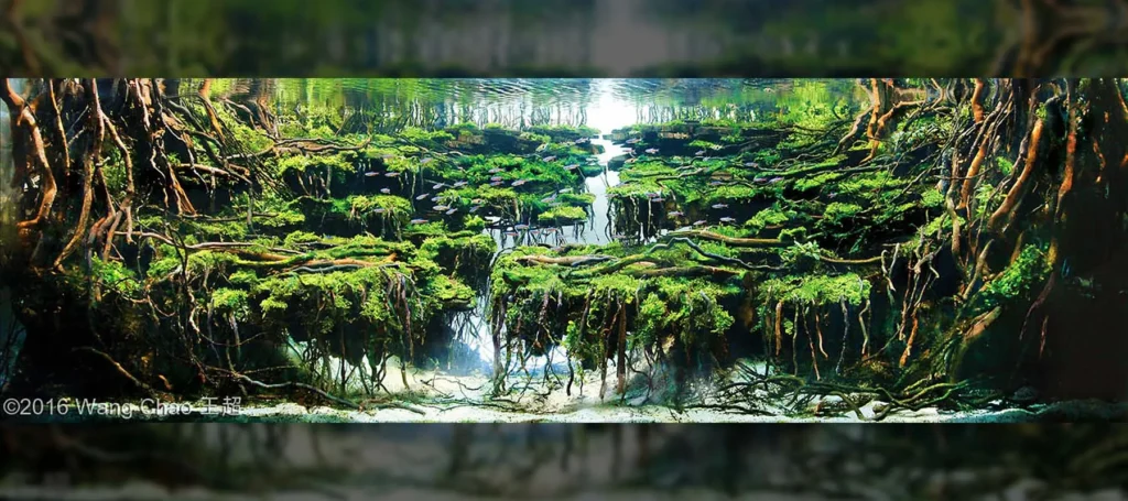 Stile_onirico_Diorama_nell'_aquascaping